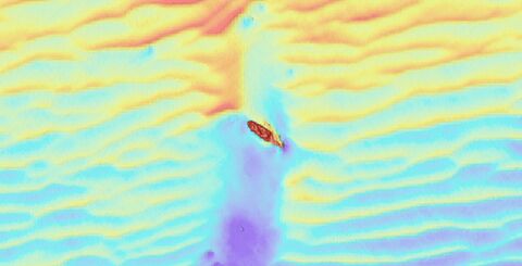 Survey image of AY25_086